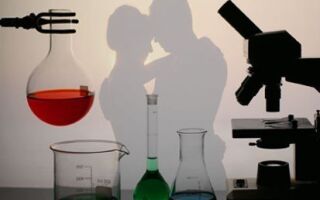 Что такое «любовь» с научной точки зрения